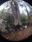 pic_32013.jpg