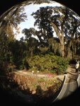 pic_32020.jpg