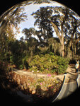 pic_32021.jpg