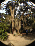 pic_32022.jpg