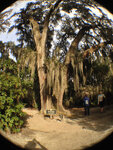 pic_32023.jpg