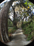 pic_32024.jpg