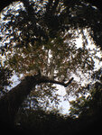 pic_32025.jpg