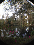 pic_32026.jpg