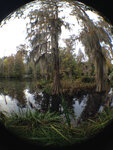pic_32027.jpg