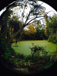 pic_32028.jpg