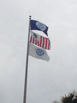 pic_32039.jpg