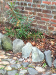 pic_32046.jpg