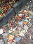 pic_32047.jpg