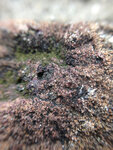 pic_32065.jpg