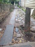 pic_32150.jpg