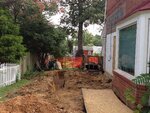 pic_31891.jpg