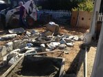 pic_31894.jpg