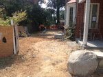 pic_31899.jpg
