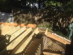 pic_31903.jpg