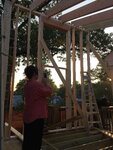 pic_31907.jpg