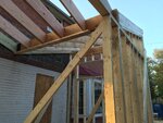 pic_31908.jpg