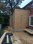 pic_31916.jpg
