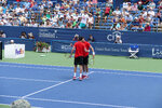 pic_33529.jpg
