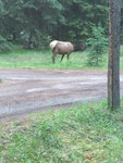 pic_33038.jpg
