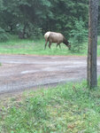 pic_33039.jpg