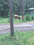 pic_33040.jpg
