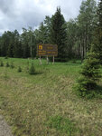 pic_33098.jpg
