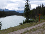 pic_33106.jpg