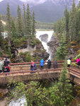 pic_33109.jpg