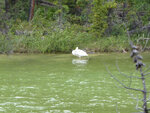 pic_33122.jpg