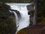 pic_33129.jpg