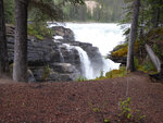 pic_33130.jpg