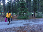 pic_33136.jpg