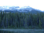 pic_33146.jpg