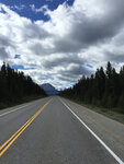 pic_33149.jpg