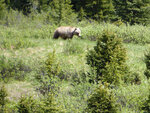 pic_33206.jpg