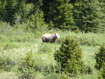 pic_33208.jpg