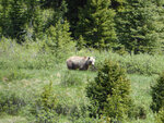 pic_33209.jpg