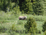 pic_33210.jpg