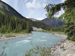 pic_33254.jpg