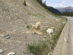 pic_33256.jpg