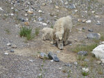 pic_33257.jpg