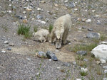 pic_33259.jpg