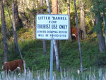 pic_33278.jpg