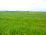 pic_33310.jpg