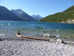 pic_33319.jpg