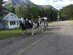 pic_33332.jpg