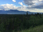 pic_33335.jpg