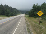 pic_33345.jpg