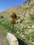 pic_33368.jpg